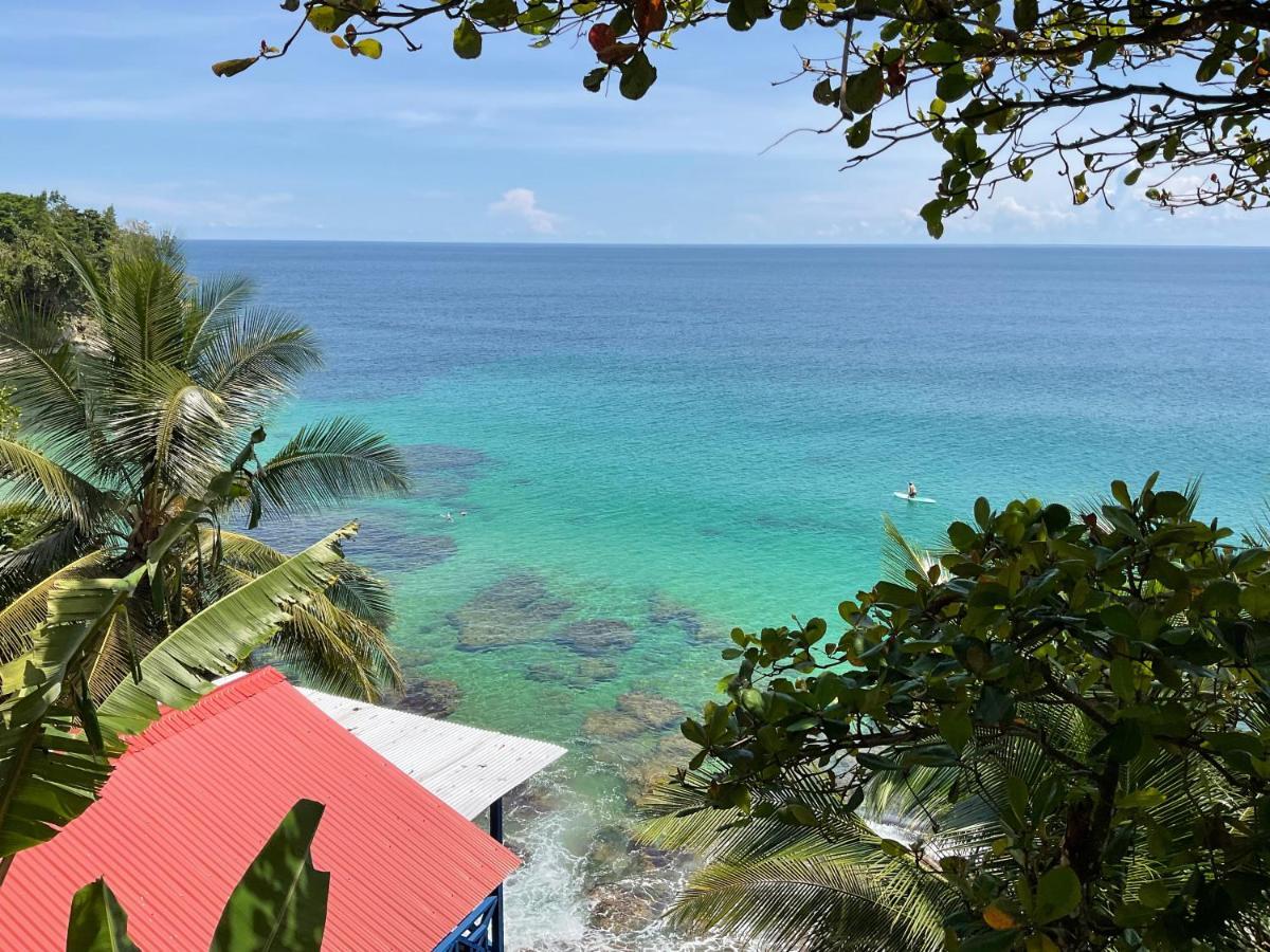 Tesoro Escondido Ecolodge Cabinas Bocas del Toro Extérieur photo