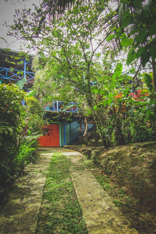 Tesoro Escondido Ecolodge Cabinas Bocas del Toro Extérieur photo